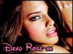   dead_rose-ah