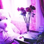   Banoota al3an