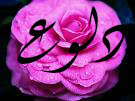   m.dalo0o3